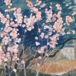 Amandier en fleurs thumbnail