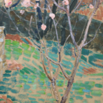 Amandier en fleurs thumbnail