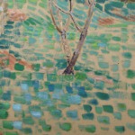 Amandier en fleurs thumbnail