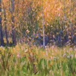 Automne, vaches dans la prairie thumbnail