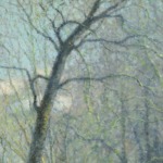 Villeneuve-Loubet – Printemps thumbnail